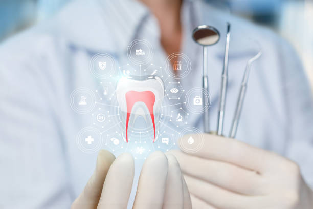 Professional Holistic Dental Care Services in Madison, FL